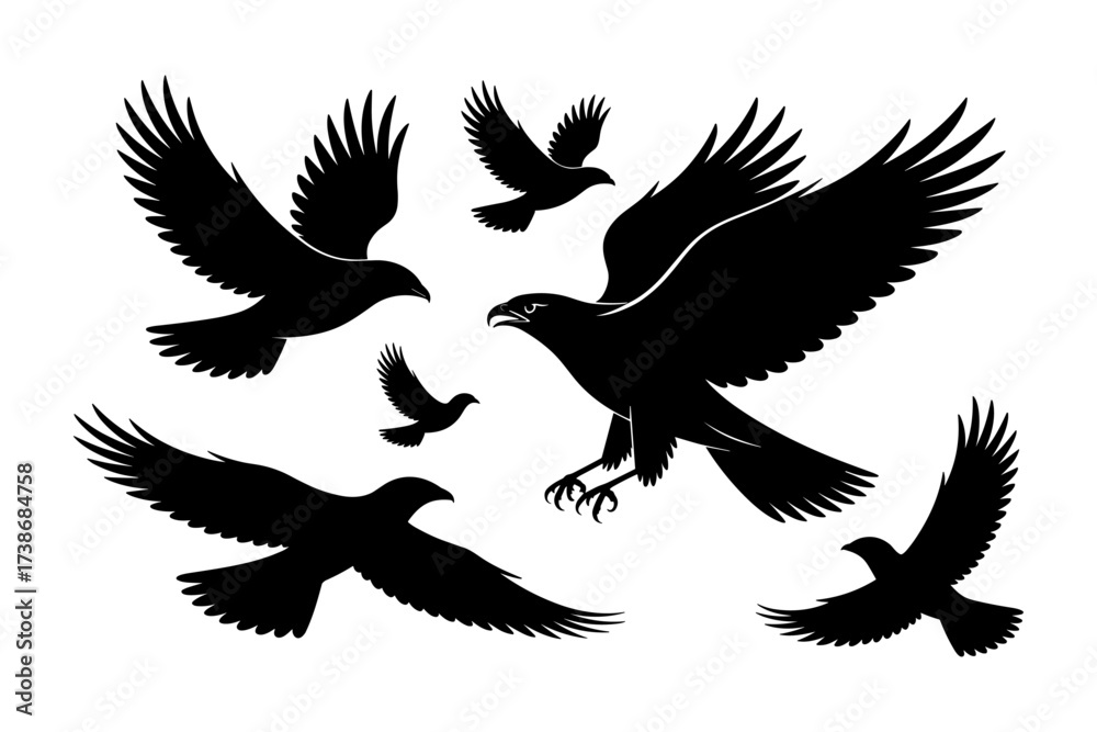 Fototapeta premium Birds silhouettes vector set, Collection of black isolated of flying birds seagulls against a white background, Beautiful bird flying silhouette set of vector, USA national birds silhouettes - Eagles,