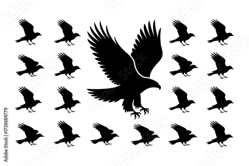 Birds silhouettes vector set, Collection of black isolated of flying birds seagulls against a white background, Beautiful bird flying silhouette set of vector, USA national birds silhouettes - Eagles,