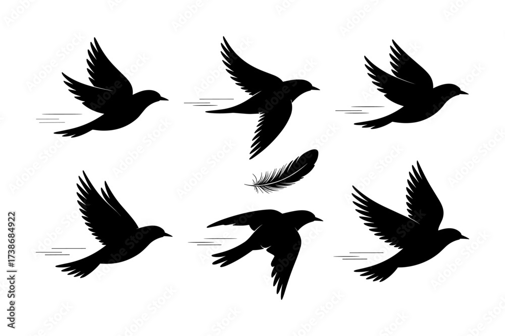 Obraz premium Birds silhouettes vector set, Collection of black isolated of flying birds seagulls against a white background, Beautiful bird flying silhouette set of vector, USA national birds silhouettes - Eagles,