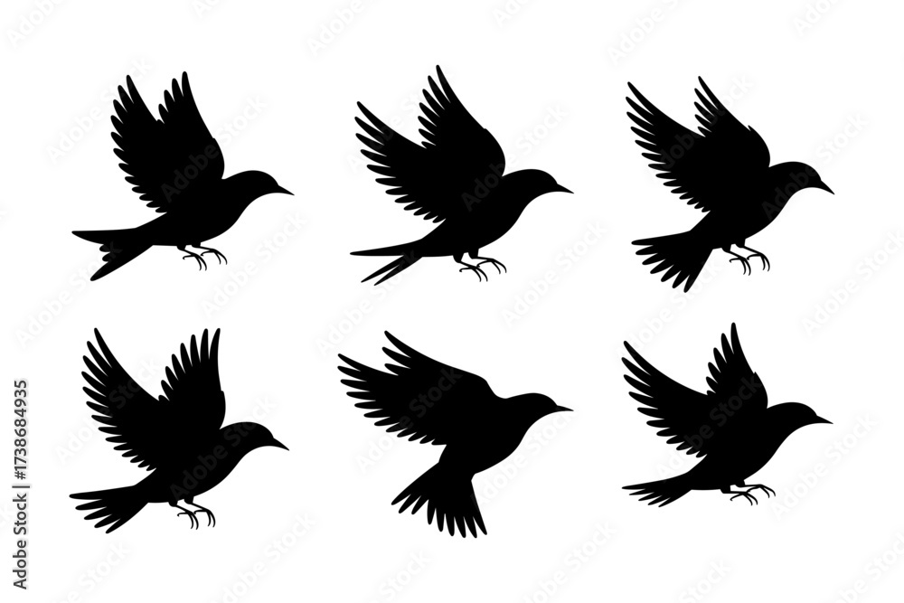 Obraz premium Birds silhouettes vector set, Collection of black isolated of flying birds seagulls against a white background, Beautiful bird flying silhouette set of vector, USA national birds silhouettes - Eagles,
