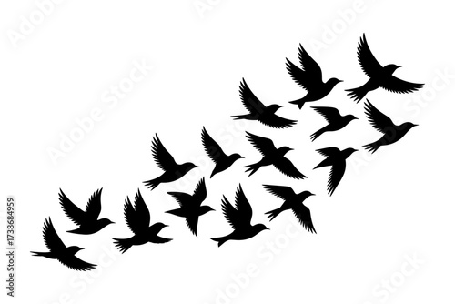 Birds silhouettes vector set, Collection of black isolated of flying birds seagulls against a white background, Beautiful bird flying silhouette set of vector, USA national birds silhouettes - Eagles,