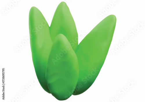 Four green, smooth, rounded leaves or petals arranged in a cluster, isolated on a white background.