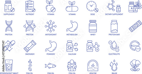 Nutrient and Supplement Icons Visual Guide to Vitamins, Minerals, and Dietary Health Elements