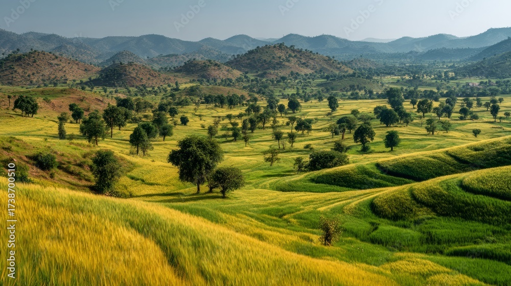 Fototapeta premium Lush rolling hills under golden sunlight in serene valley. AI image