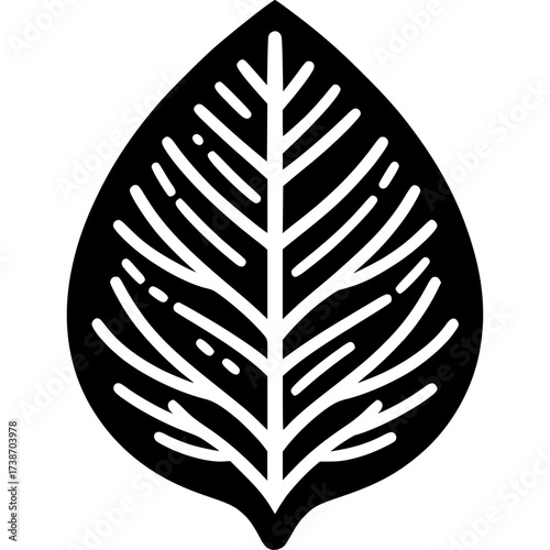Leaf Vector Icon
