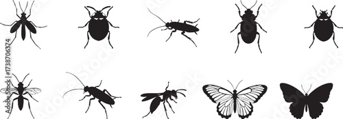 Black Silhouette Icons of Common Household and Flying Insects