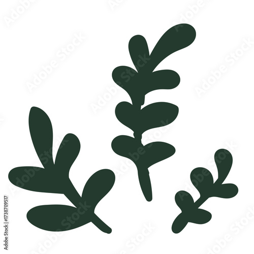 Seaweed isolated . Doodle-style Vector illustration