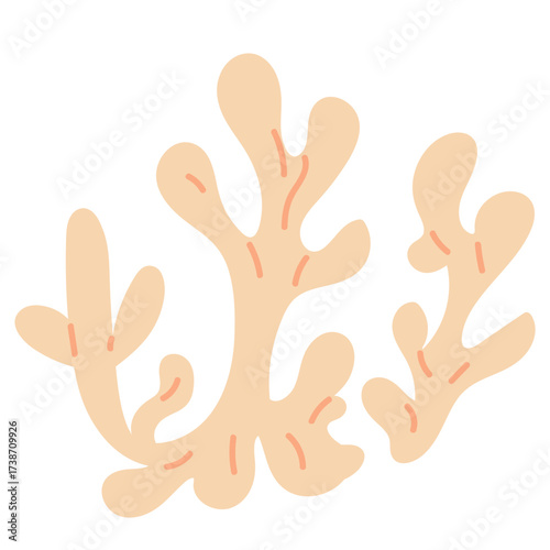 Marine corals. vector illustration in doodle style 