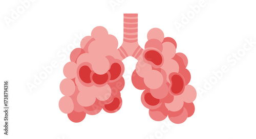 Detailed illustration of healthy human lungs showcasing bronchioles and alveoli in a modern medical style
