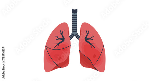 Stylized human lungs illustration with detailed bronchi and lobes, perfect for medical education and health awareness campaigns