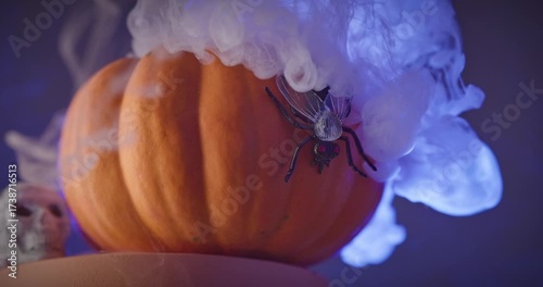 Halloween composition with pumpkin on podium surrounded by mystical blue smoke. A fly rests on the pumpkin while a skull lies nearby, creating a spooky, eerie atmosphere