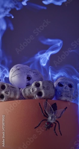 Several skulls on a podium surrounded by swirling blue smoke. A large fly rests on the podium, creating a spooky and eerie Halloween atmosphere