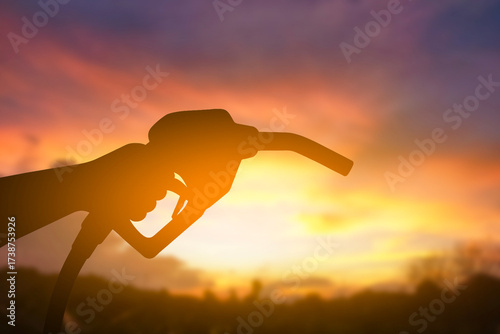 Hand Holding Fuel Dispenser Nozzle with Sunset Light
