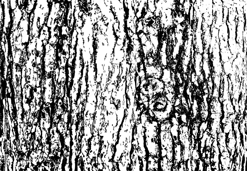 custom made wallpaper toronto digitalTree bark texture