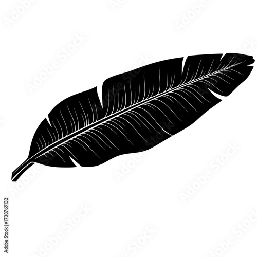Black Vector Silhouette: Single Banana Leaf (Tropical Foliage)	