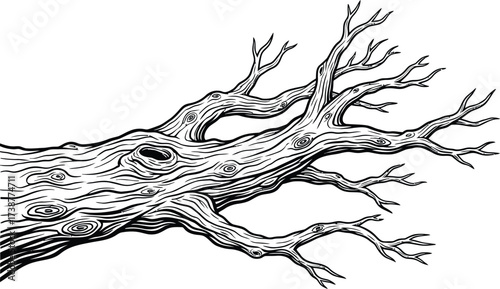 Detailed black and white ink drawing of a fallen tree trunk with gnarled branches and wood grain texture