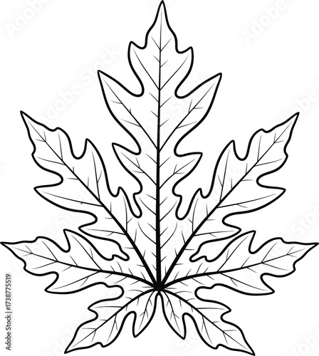 Stylized Papaya Leaf Outline Vector Illustration Keywords: papaya leaf, outline, drawing, illustration, plant, nature, tropical, foliage, green, botany, organic, vector, graphic, design, element