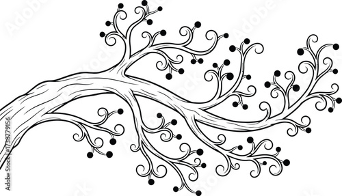 Black and white illustration of a decorative tree branch with curly twigs and round buds vector