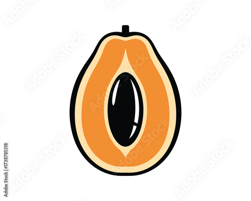 Half Papaya Fruit Cross Section
