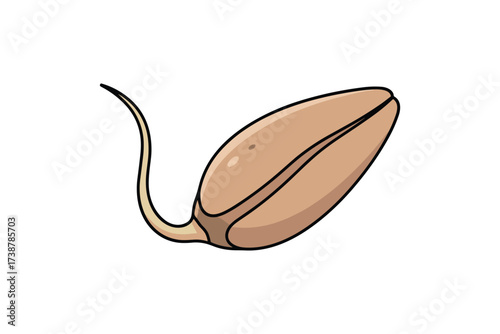 Sprouted seed vector illustration