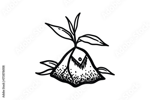 Tea Bag Plant Leaves Minimalist Sketch