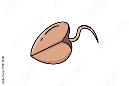 Sprouted seed vector illustration