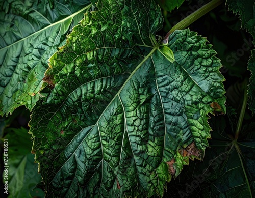 Textured Green Leaf with Veins and Imperfections Close Up.