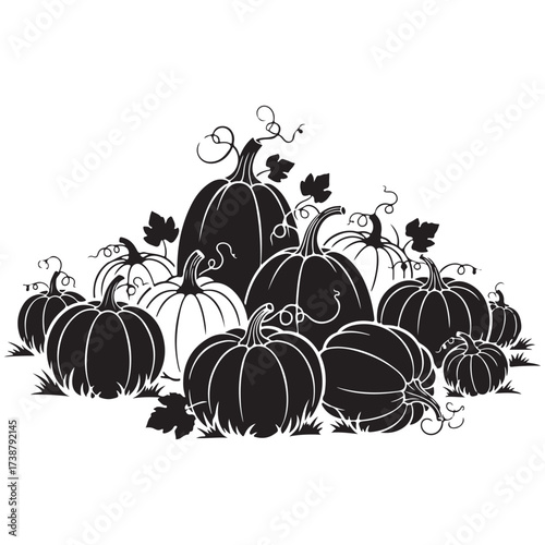 A bountiful harvest of various sized pumpkins and gourds artfully arranged on a white background perfect for autumn and fall themes