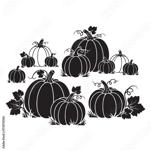 A charming black and white illustration of a variety of pumpkins and gourds arranged in a rustic autumnal display with leaves and vines