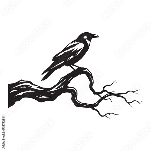 A solitary black bird perched on a gnarled bare tree branch against a stark white background in a detailed ink sketch style