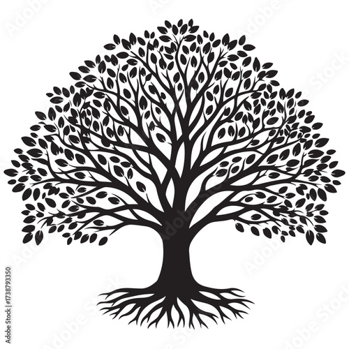 Majestic silhouette of a large deciduous tree with intricate branches and exposed roots against a white background