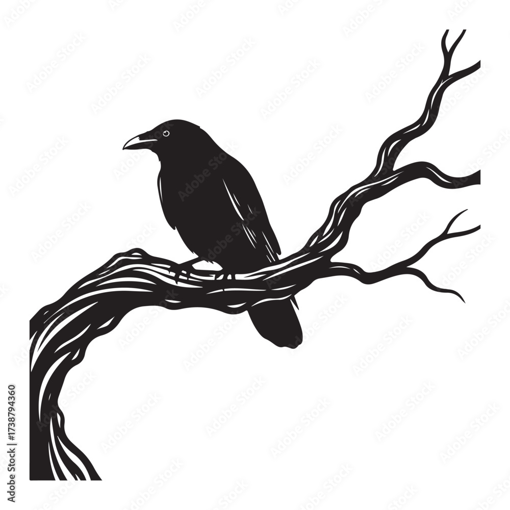 Fototapeta premium Silhouette of a lone black raven perched on a gnarled twisted bare tree branch against a stark white background