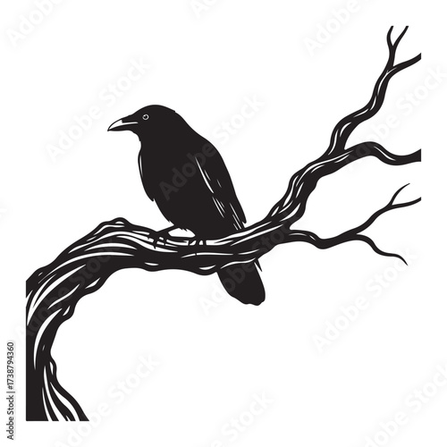 Silhouette of a lone black raven perched on a gnarled twisted bare tree branch against a stark white background