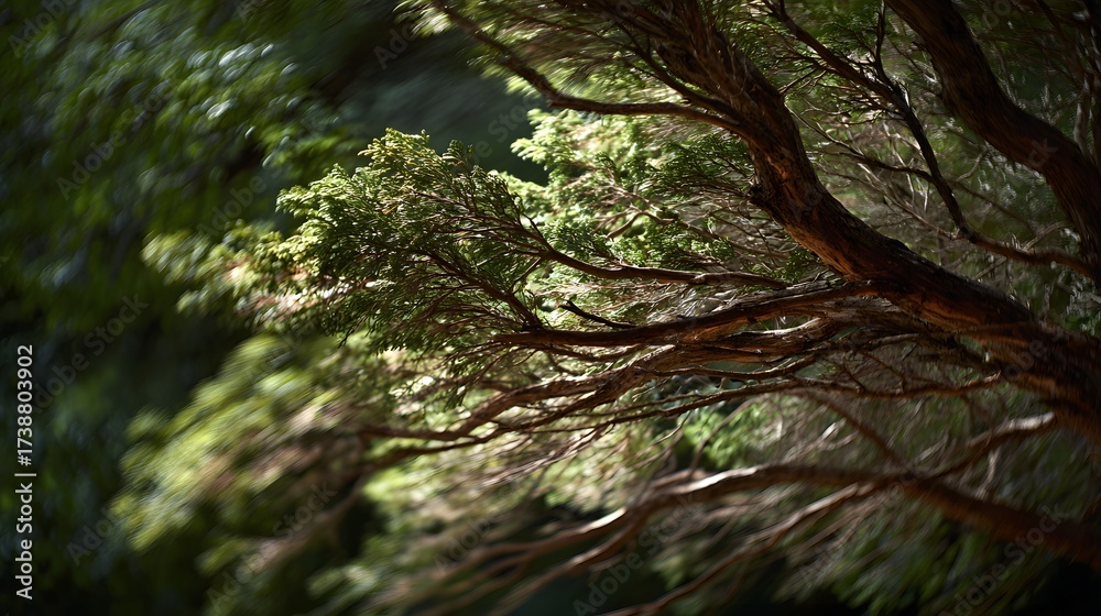 Fototapeta premium Sunlight gently illuminates the intricate network of branches and lush foliage of a tree, showcasing the natural details within the vibrant green canopy and the dark, textured bark of the tree...