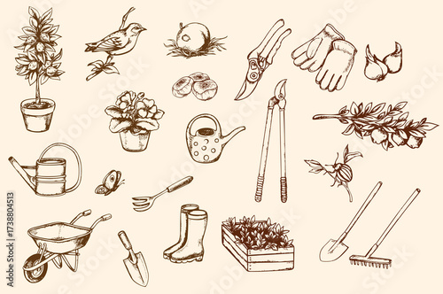 Handdrawn garden illustration with plants and tools