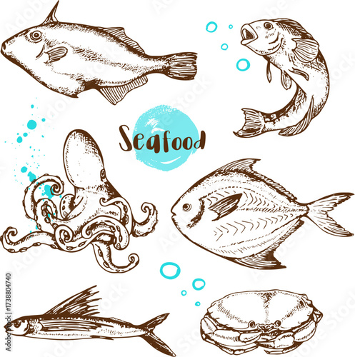 Handdrawn illustration of various seafood items and the word Seafood