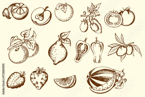 Handdrawn illustrations of various fruits and vegetables in brown ink