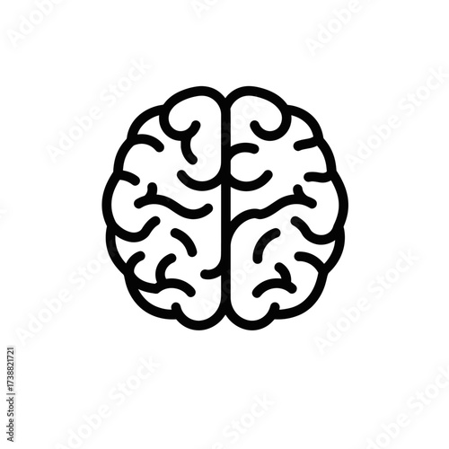 human brain model