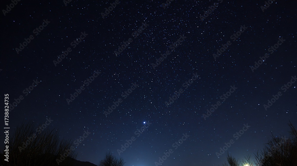 Fototapeta premium Vibrant Starry Night Sky with Dark Silhouette of Trees and Glowing Nighttime