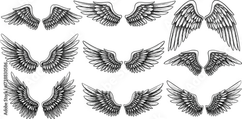 Vector illustration set of stylized black wings and feathers for tattoo design or decoration, featuring angel, bird, and eagle silhouettes