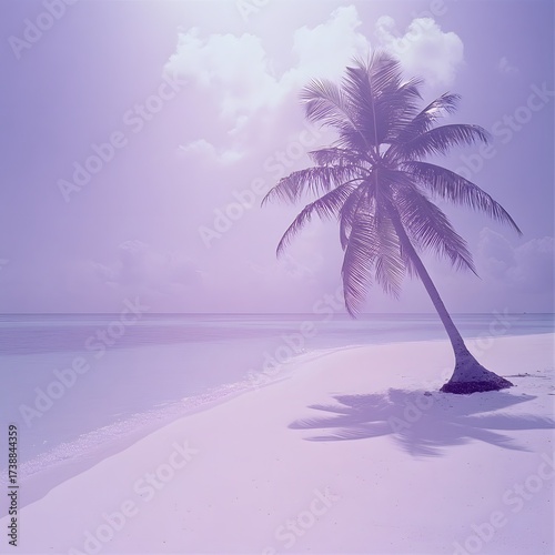 Purple Toned Beach Scene with Palm Tree, Sand and Ocean View calm and relaxing