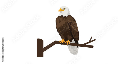 Majestic Bald Eagle Perched on a Branch Symbol of Freedom and Wildlife
