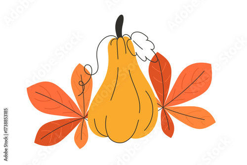 Orange gourd surrounded by autumn leaves on a white background