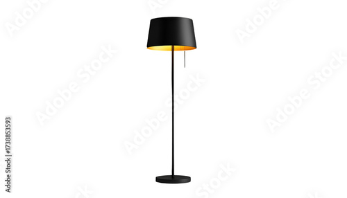 Elegant floor lamp with a black lampshade and a gold-colored interior illuminates the darkness.