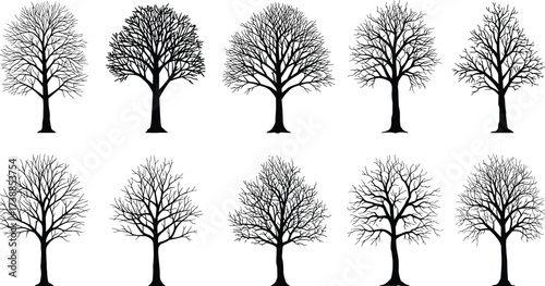 Collection of ten detailed leafless tree silhouettes, black vector artwork design, natural forest elements, eco friendly branches, seasonal bare tree shapesCollection of ten detailed leafless tree 