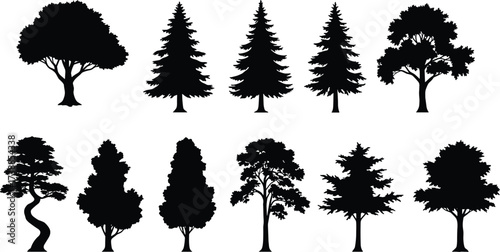 Collection of various tree silhouettes including pine, oak, nature forest design, vector artwork for eco projects, decoration and illustration