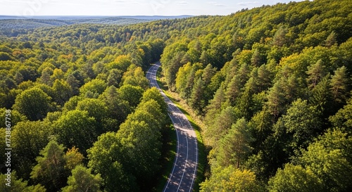 Aerial View Of Winding Forest Road Through Lush Green Canopy In Dense Forest