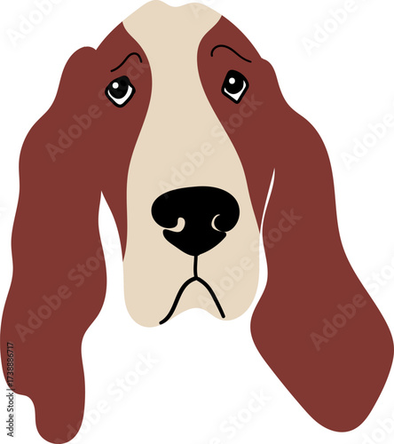 Sad Basset Hound face with long ears