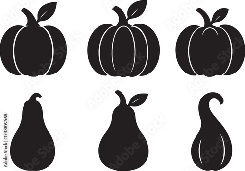 Pumpkin and squash silhouette : A curated collection of iconic silhouettes, showcasing the diverse shapes and forms of pumpkin and squash, perfect for adding a touch of seasonal flair to your designs.
