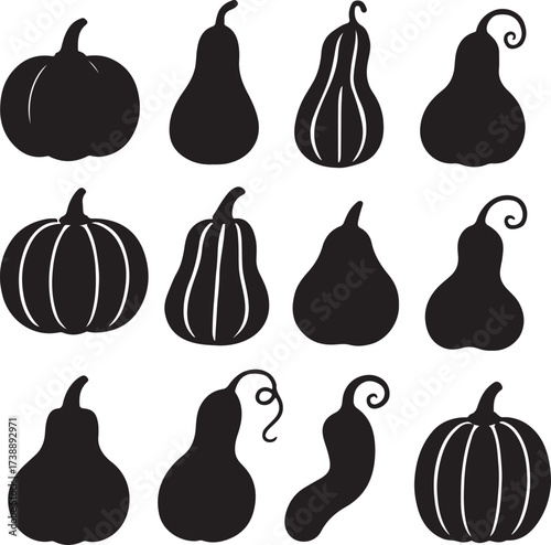 Autumn Harvest: Silhouette of various gourds on a backdrop. Each gourd showcases a unique shape, size, and contour, representing the diversity of the autumn harvest.